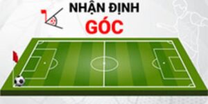 Các loại chuyên gia nhận định bóng đá