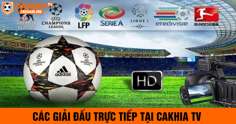 Các giải đấu nổi bật tại cakhia tv